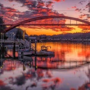 Meet your Posher, Steve